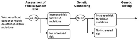 Figure 7 Summary Of Key Questions 2a 3a And 2b 3b Risk Assessment