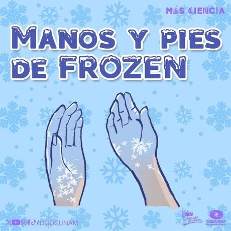 Por qué nuestros pies y manos se congelan en invierno La UNAM lo