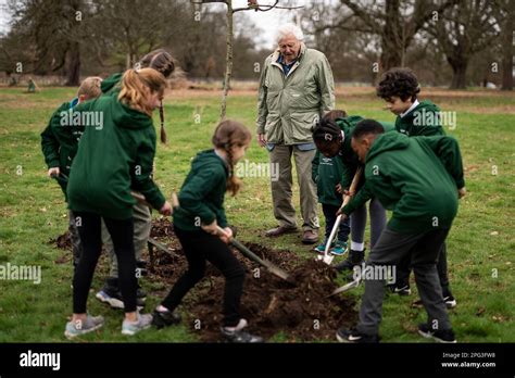 Sir David Attenborough Plants A Tree In Honour Of Queen Elizabeth Ii