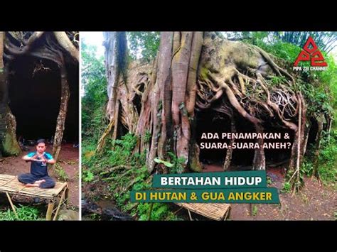 BERTAHAN HIDUP DI HUTAN GUA ANGKER ADA PENAMPAKAN YouTube