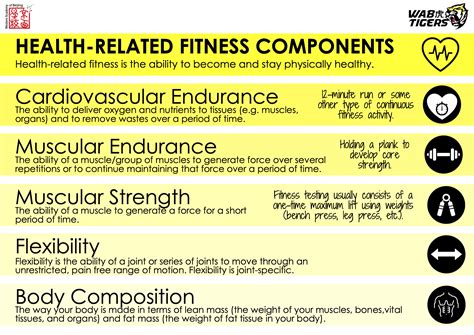 5 components fitness 5
