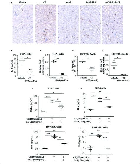 | Interleukin-9 (IL-9) suppressed the pro-inflammatory cytokines ...