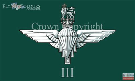 3 Parachute Regiment flag | Officially Licenced MoD Artwork Flags ...