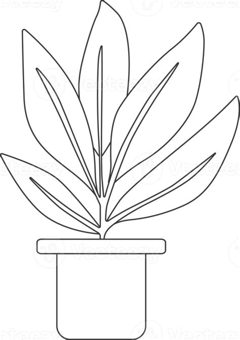 Plantas En Macetas Dibujo Para Colorear Png