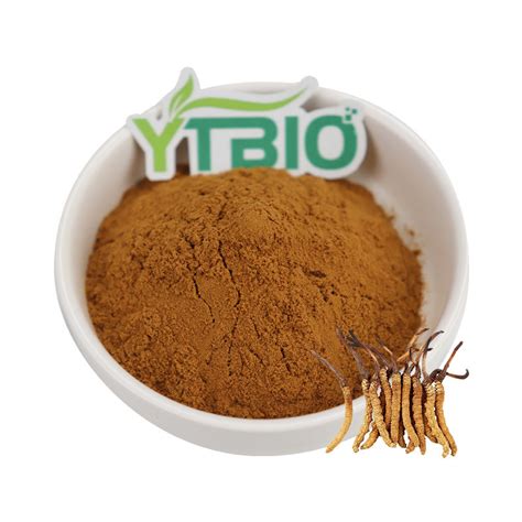 Cordyceps Extract Cordyceps Sinensis Extract Powder China Bulk