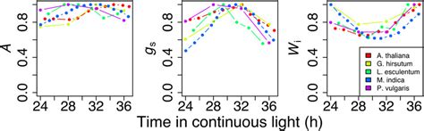 Patterns Of Carbon Assimilation A Stomatal Conductance G S And