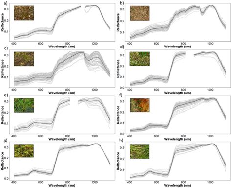 Vegetation Spectral Signature Cheat Sheet