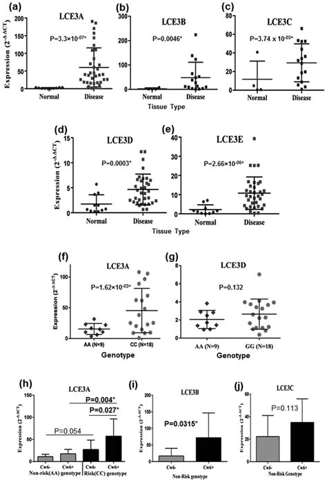 Expression Profiling Of LCE3 Genes Ae Expression Pattern Of Five