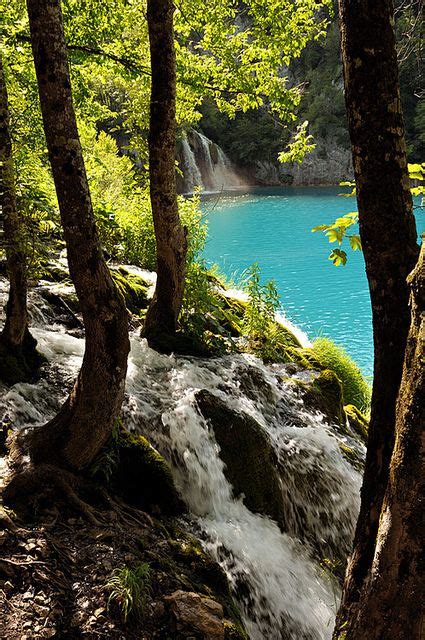 A River Running Through A Lush Green Forest Next To A Blue Lake Surrounded By Trees