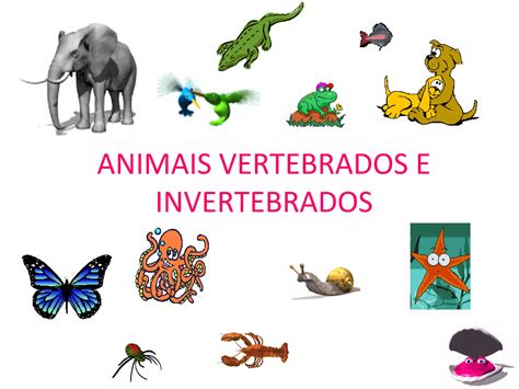 Animais Vertebrados E Invertebrados 1