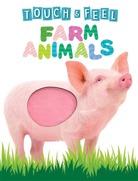 Baby Look And Feel Farm 9