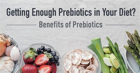 What Are Prebiotics Prebiotics Guide Foods List And 50 OFF