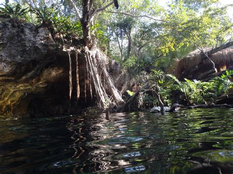 Snorkeling at Gran Cenote, Tulum | Snorkeling the Mayan Riviera