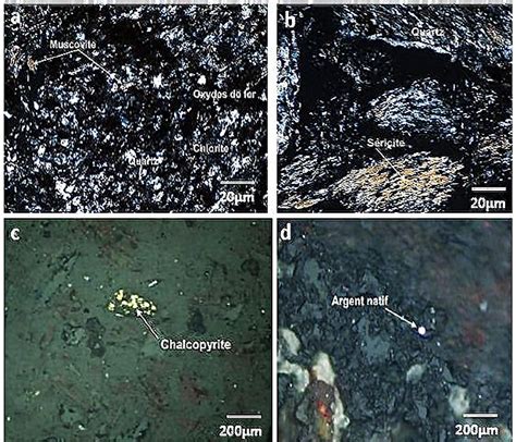 A Microscopic Bservation Of Sandstone Levels Lp B Micaceous