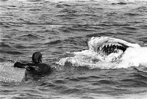 21 Amazing Behind the Scenes Photos From the Making of 'Jaws' (1975 ...