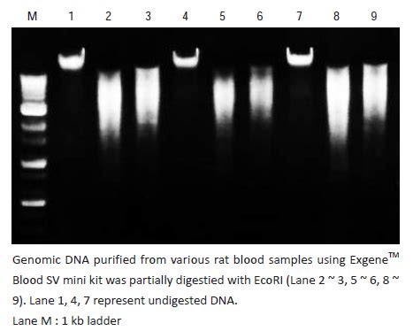 Cambio Excellence In Molecular Biology