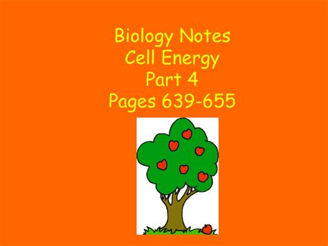 Biology Notes Cell Energy Part 4 Pages Ppt Download