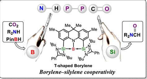 Boron Chem Research On Twitter Cooperative Bond Activation And