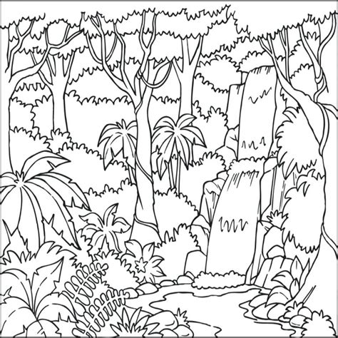 Tropical Rainforest Coloring Pages At Free Printable