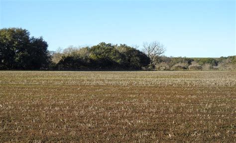 100 Acres Outside Lampasas on Naruna Road | Chas S. Middleton