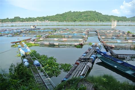 フィリピン・東南アジア漁業開発センターseafdec Binangonan Freshwater Stationを訪問 日本学術振興会