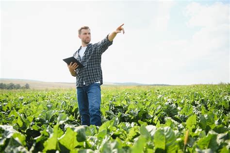 Agricultor Verificando A Qualidade Da Colheita Em Um Campo De Foco