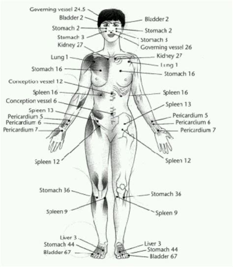 Marma Points Acupuncture Points Acupressure Points Acupressure