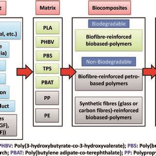 Biocomposites performance and their applications as of today ...