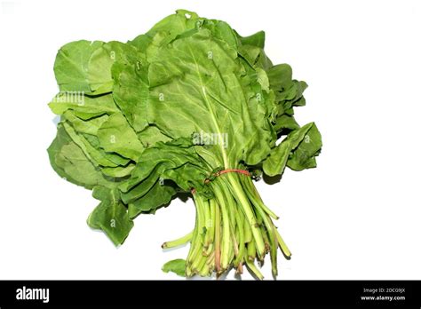 Bundle Of Fresh Spinach Palak Green Vegetable Isolated On White Stock