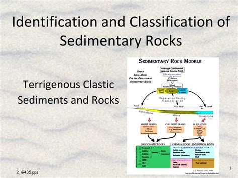 Sedimentary Rock Identification Chart