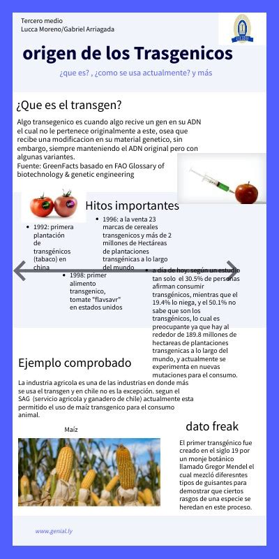 InfografÍa Alimentos Transgénicos