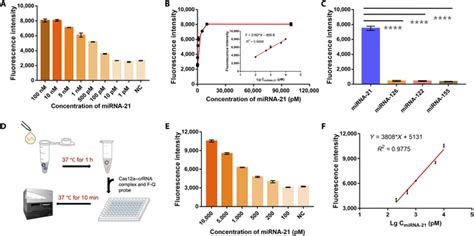 Exploring The Trans Cleavage Activity With Rolling Circle Amplification For Fast Detection Of