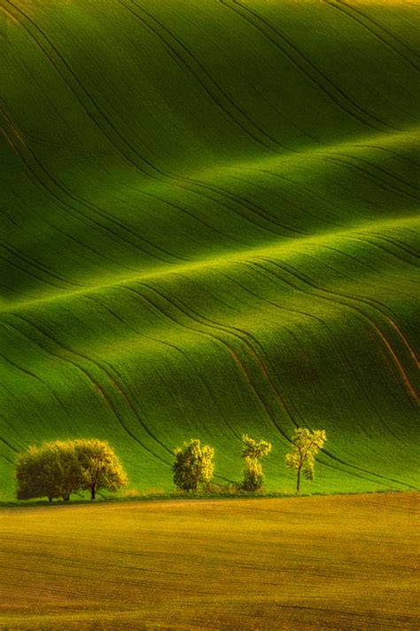 spring  italy matthews island