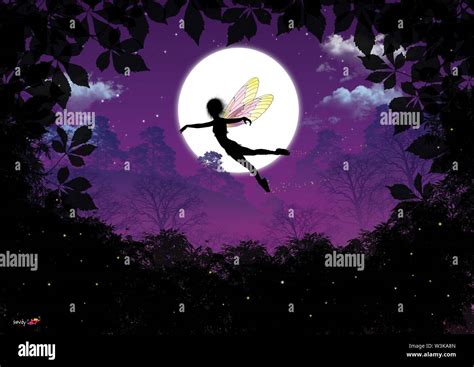 Flying Fairies Hi Res Stock Photography And Images Alamy