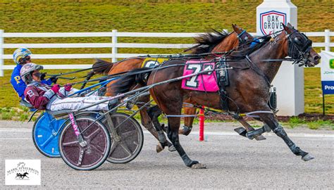 Ohoka Chopper N Repeats In Oak Grove Open Harnesslink