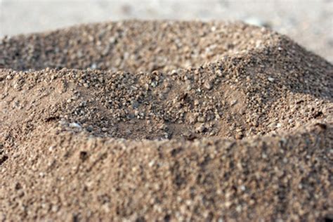 how to get rid of ant piles