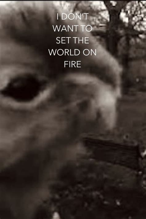 I Dont Want To Set The World On Fire Pel Cula Tr Iler Resumen