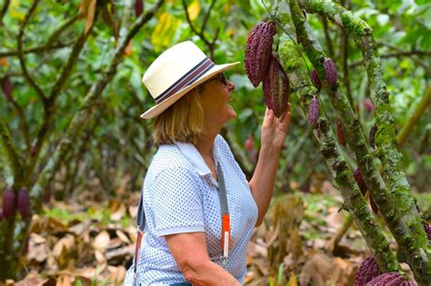 El Tren Del Cacao Hacienda La Danesa Una Experiencia Exclusiva En Ecuador