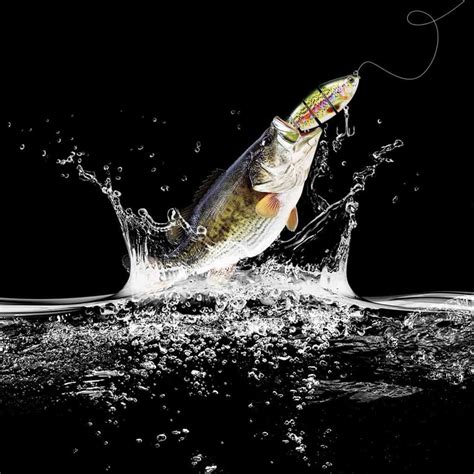 Bass Fishing Lures: The Top 10 Revealed – The Fishing Master