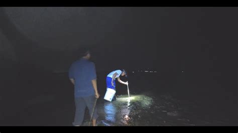 LIVE Berburu Kepiting Di Pulau Pemping Perbatasan Singapura YouTube