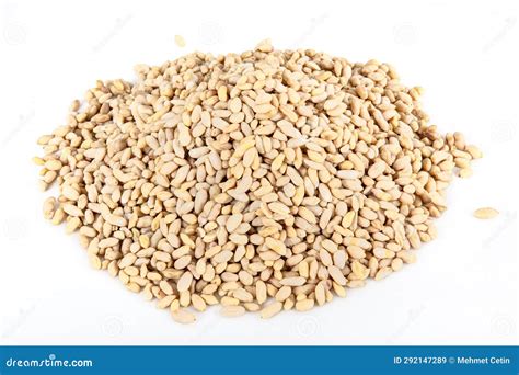 Organic Pine Nuts Bulk And Fresh Shelled Pine Nuts Individually