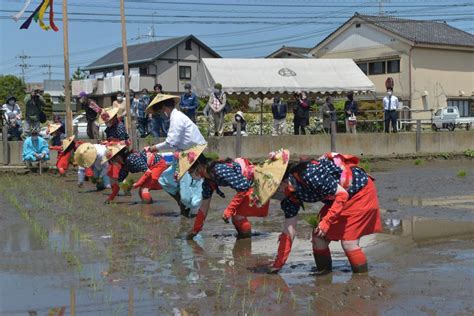 東川町で北海道神宮「御田植祭」 緋袴白書：備忘録