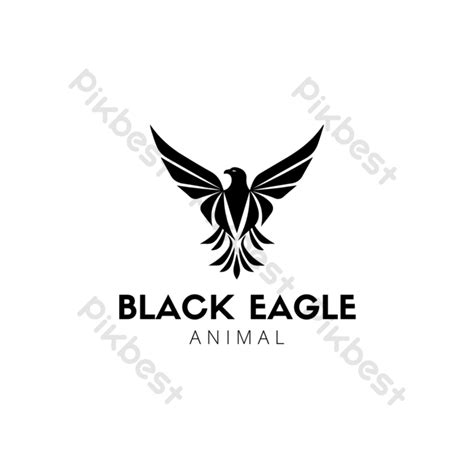 A Beautiful Black Eagle PNG Images | PNG Free Download - Pikbest