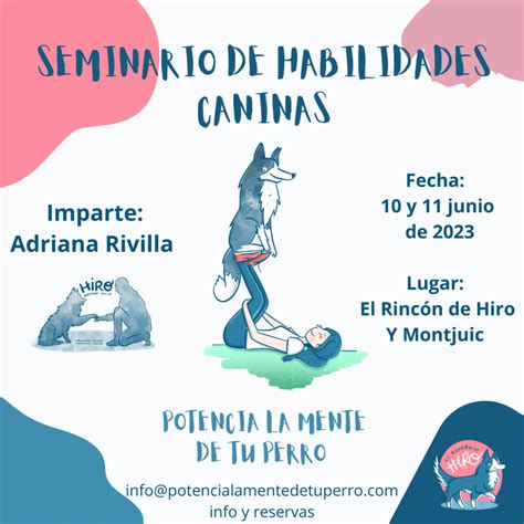 Seminario De Habilidades Caninas Potencia La Mente De Tu Perro