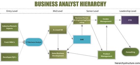 Business Analyst Hierarchy Designation Hierarchy