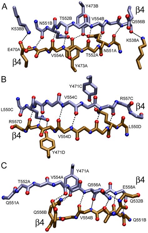 The three β4 β4 dimerization interfaces found in ME ICA512