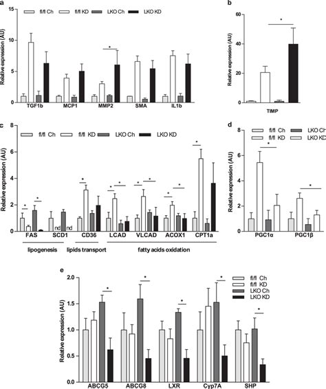 Lko Mice Show Liver Gene Expression Suggestive Of Inflammation