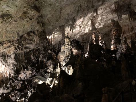 Postojna Cave | Reach the World