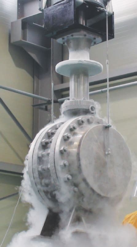 Cryogenic Valves Gate Valves Globe Valves Check Valves Etc