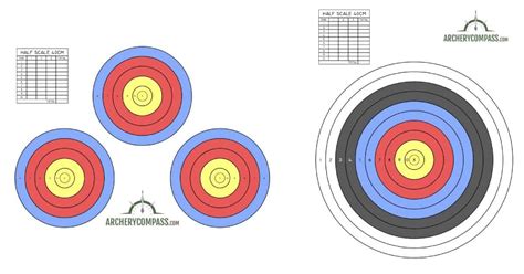 Essential 40cm Target Guide for Archery - Archery Compass